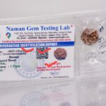 एक मुखी गोल रुद्राक्ष नेपाली दुर्लभ ek mukhi rudraksha 20 mm Certified code R 77