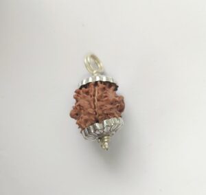 एक मुखी गोल रुद्राक्ष नेपाली दुर्लभ ek mukhi rudraksha 18 mm Certified - Image 3