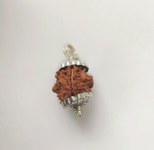 एक मुखी गोल रुद्राक्ष नेपाली दुर्लभ ek mukhi rudraksha 18 mm Certified - Image 4