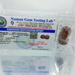 गौरी शंकर रुद्राक्ष लैब टेस्टेड नेपाली 30 mm Gauri shankar rudraksha