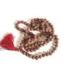 असली रुद्राक्ष और रुद्राक्ष माला Rudraksha and rudraksha mala