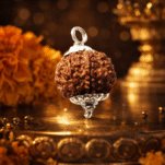 1 Mukhi Round Shap Rudraksha एक मुखी गोल रूद्राक्ष Big Size ever