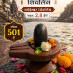 नर्मदेश्वर शिवलिंग Narmadeshwar Shivling