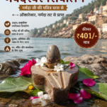 नर्मदेश्वर शिवलिंग Narmadeshwar Shivling